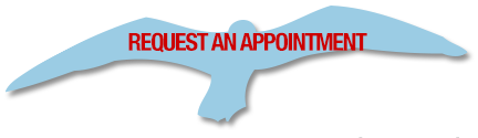 Request an Appointment